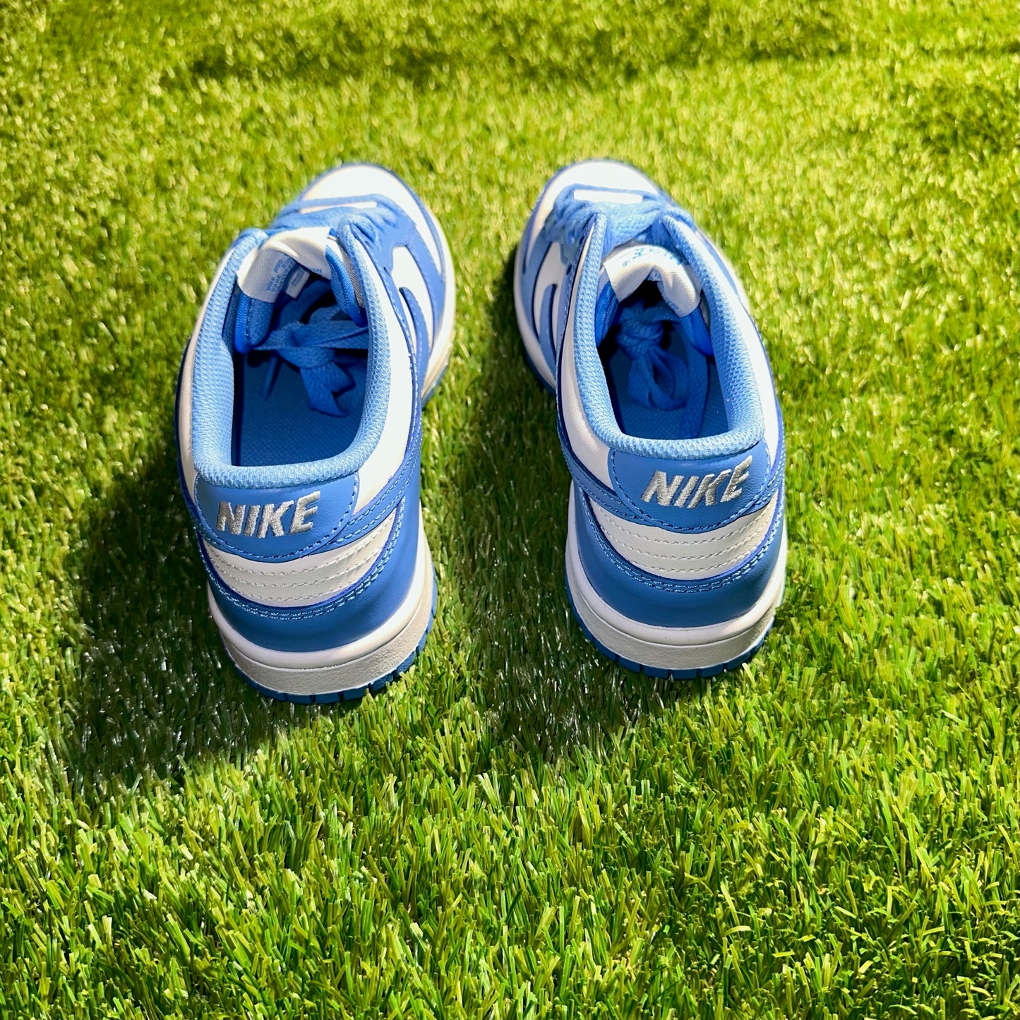 Dunk Low "UNC"