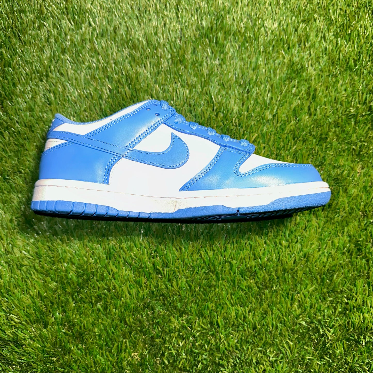 Dunk Low "UNC"